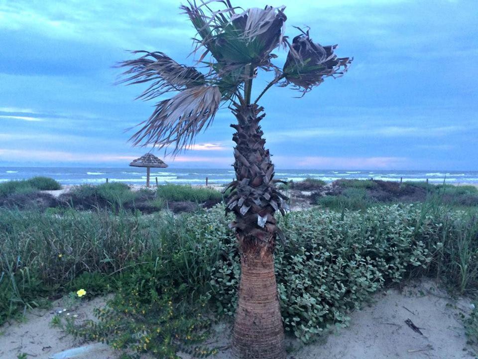 Вилла Unobstructed Oceanfront Seagull Unit 3 Beach Pad! Серфсайд-Бич Экстерьер фото